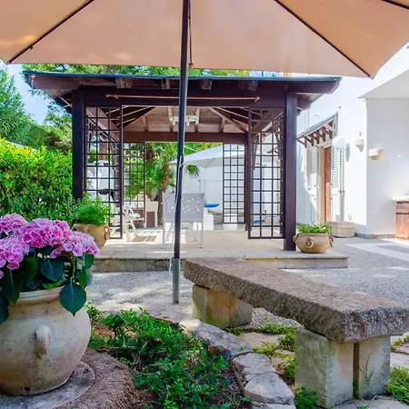 Baia - Summer غالّيبولي